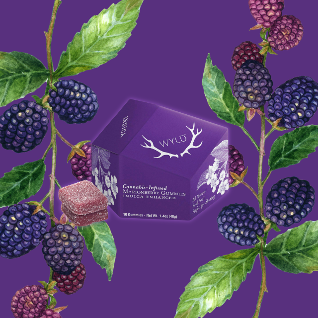 GUMMIES | MARIONBERRY