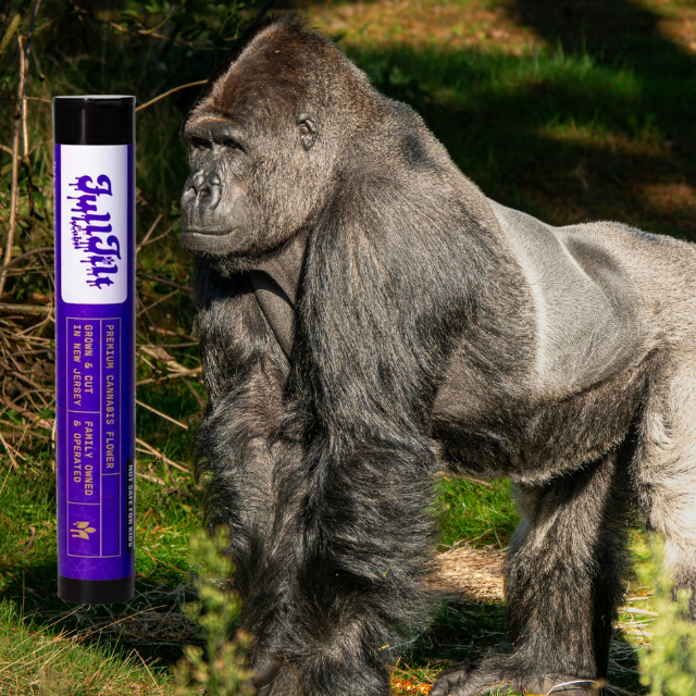 FLOWER | ZUBAI | 2-PACK | 1G