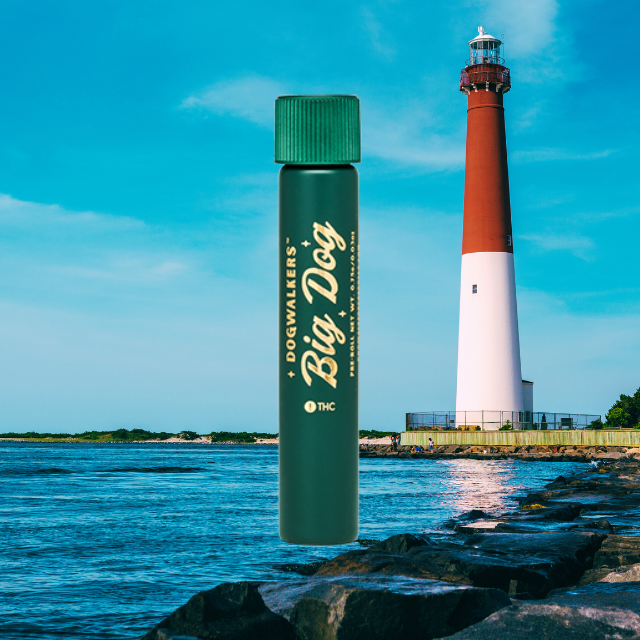 PREROLL | EAST COAST SOUR DIESEL 1G