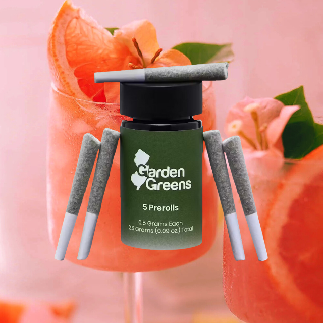 PREROLL | PALOMA SPRITZ | 5-PACK | 2.5G 