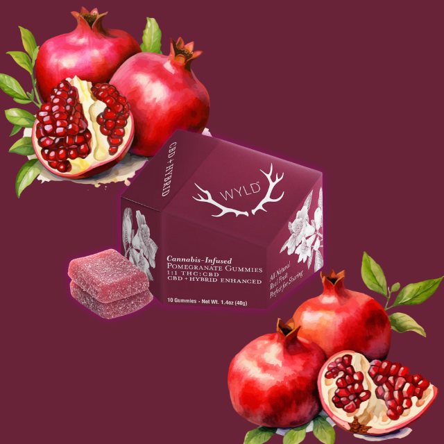 GUMMIES | POMEGRANATE 1:1