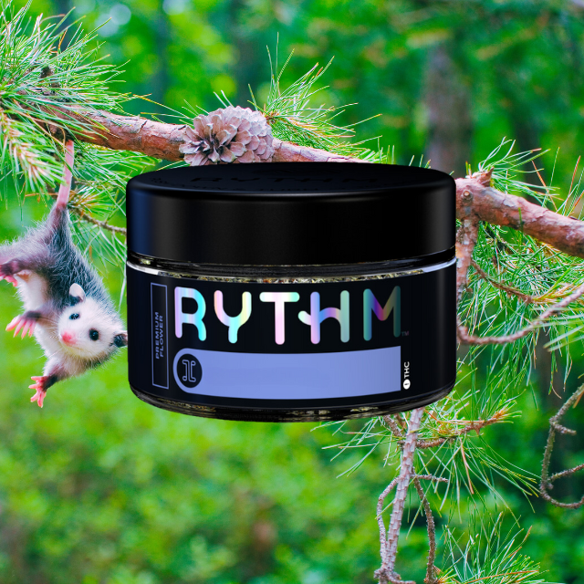 LITTLES | ANIMAL SCOUT #10 | 7G