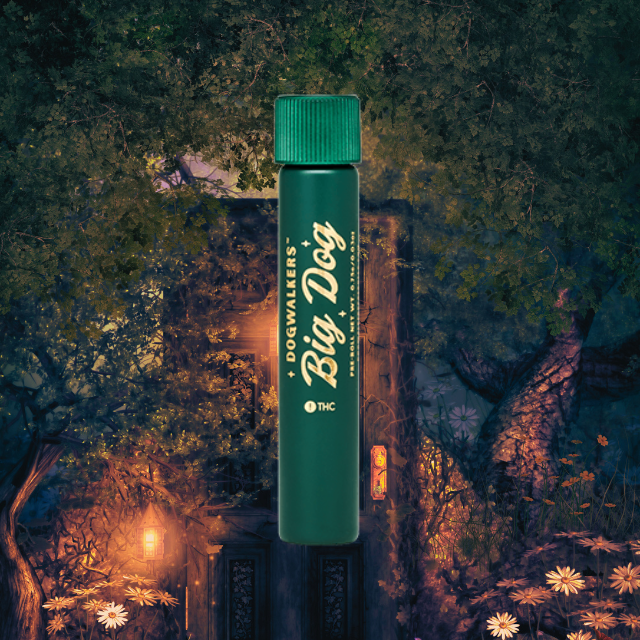 PREROLL | FANTASY MELONZ | 1G