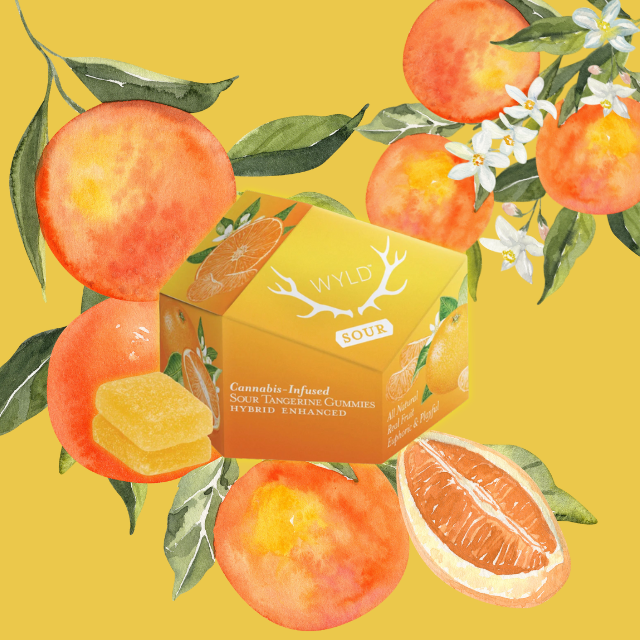 GUMMIES | SOUR TANGERINE