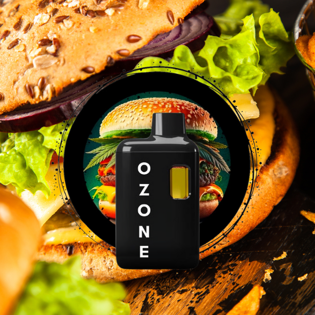 DISPOSABLE | DONNY BURGER | 1G