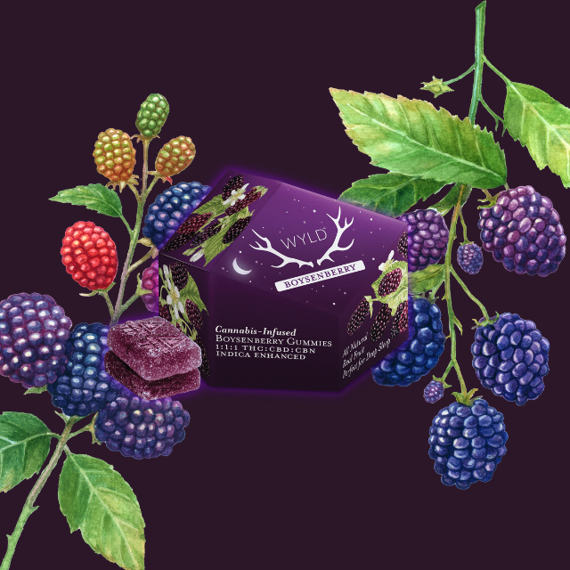 GUMMIES | BOYSENBERRY 1:1:1