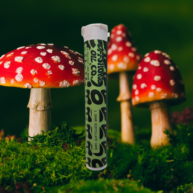 DISPOSABLE | GMO | 1G