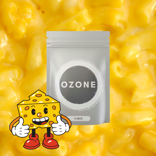 LITTLES | MR CHEEZLE | 7G