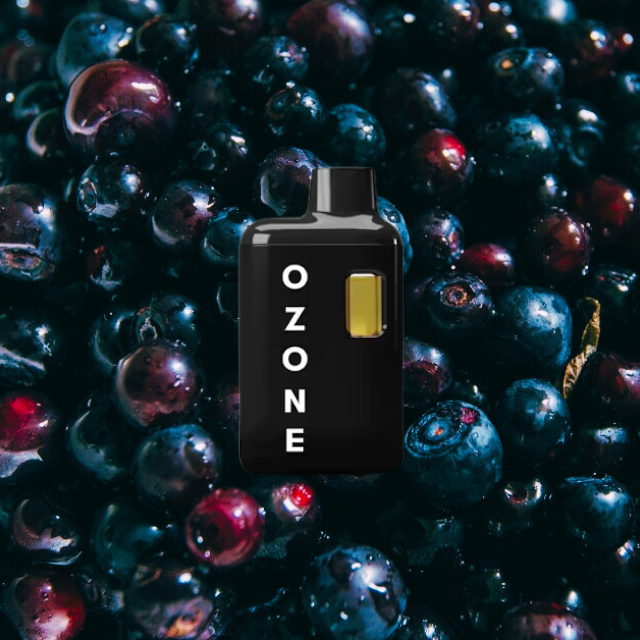 DISPOSABLE | HUCKLEBERRY HAZE | 1G