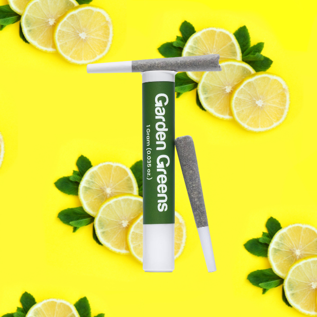 PREROLL | SUPER LEMON HAZE | 2-PACK | 1G