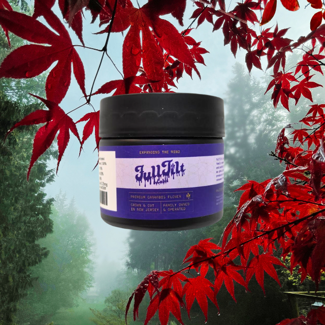 FLOWER | BLACK MAPLE | 1G