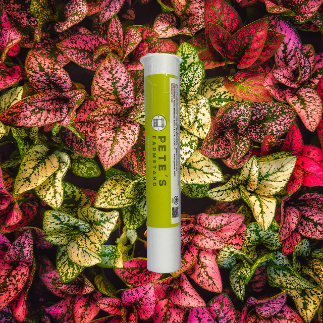 PREROLL | PETE'S MEDLEY | 1G