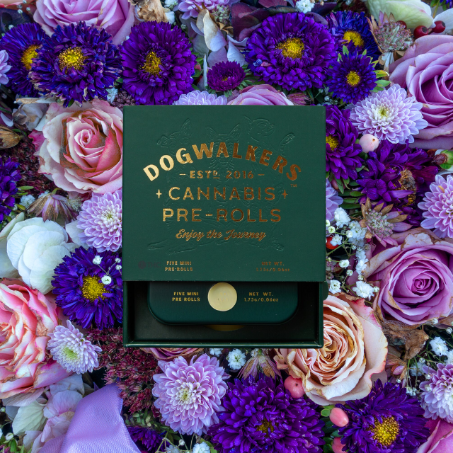 PREROLL | GAZZURPLE | 5-PACK | 1.75G