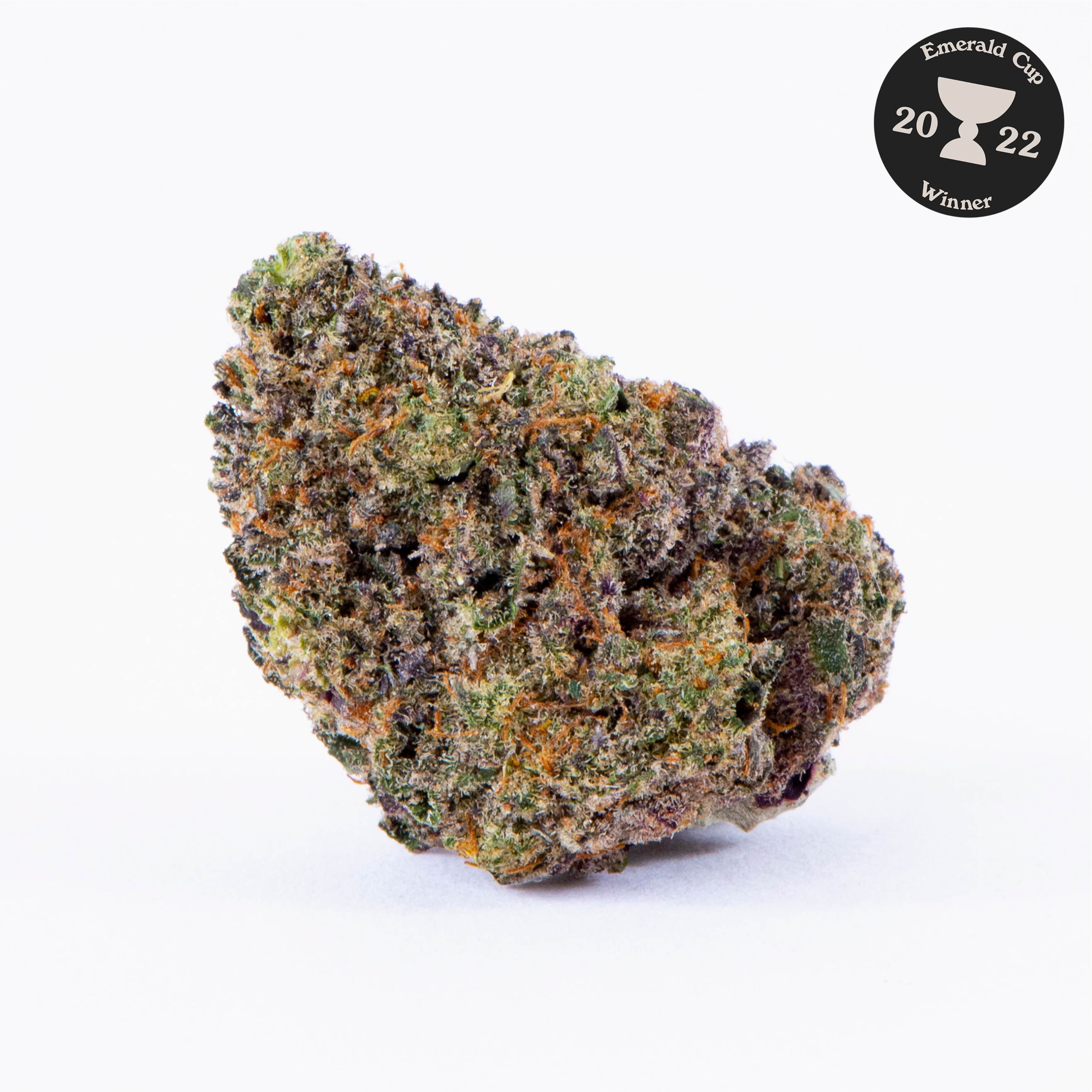 TERRY T X GELATO 33 CBD