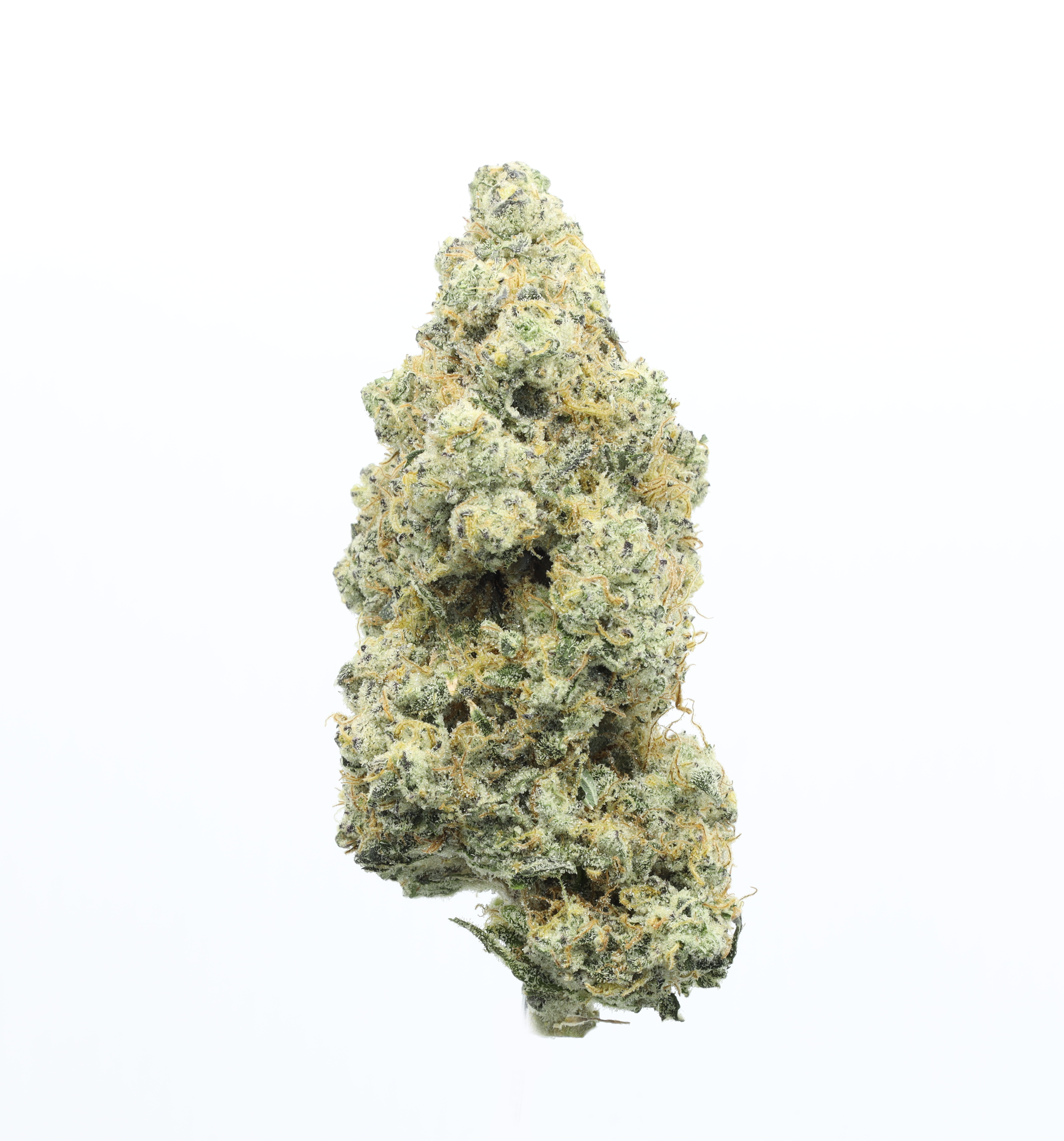 PLATINUM AFGHANI