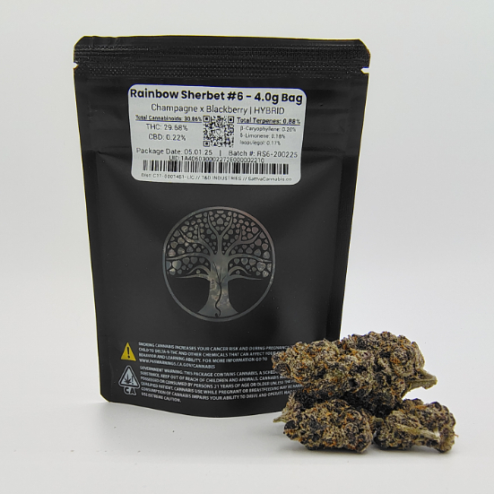 RAINBOW SHERBERT #6