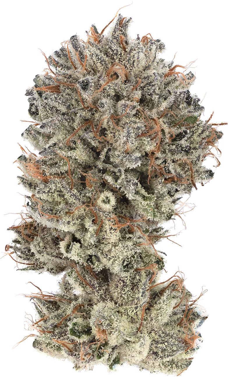 BUBBA KUSH