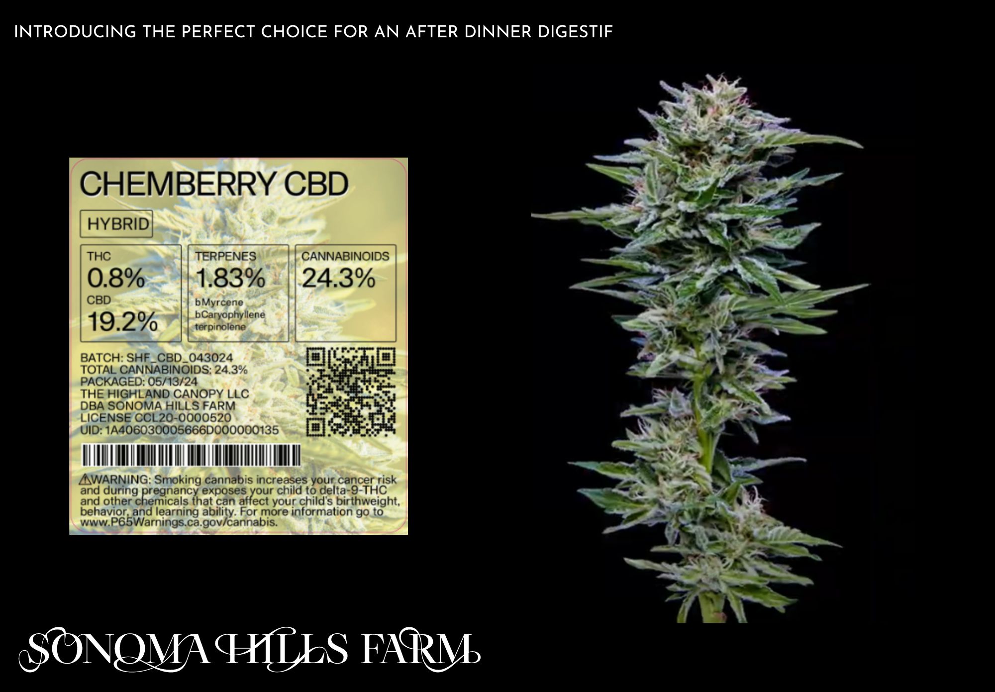 CHEMBERRY HIGH CBD