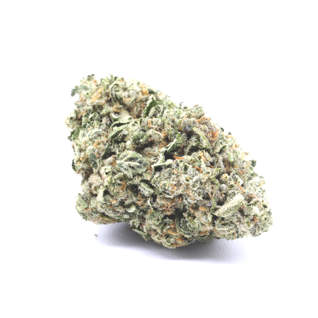 JET FUEL GELATO