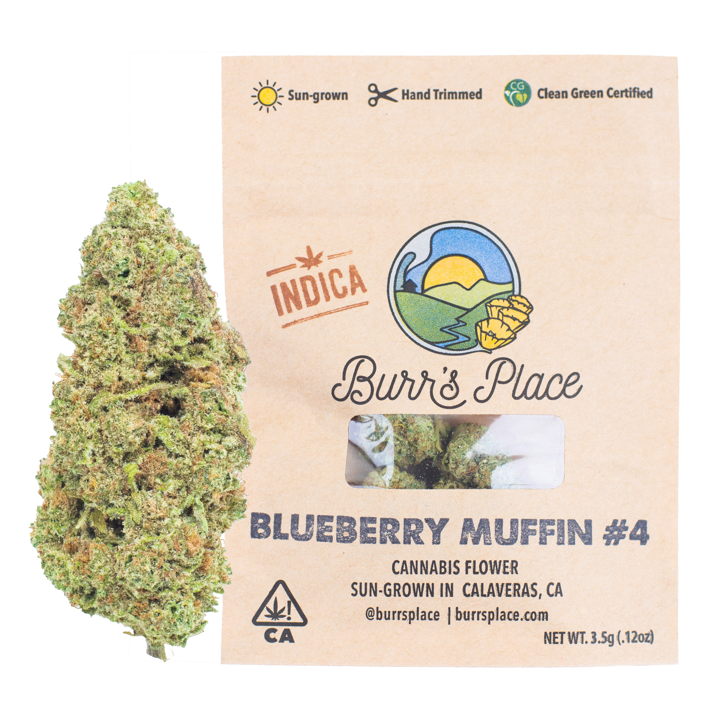BLUEBERRY MUFFIN - 3.5g in Livermore