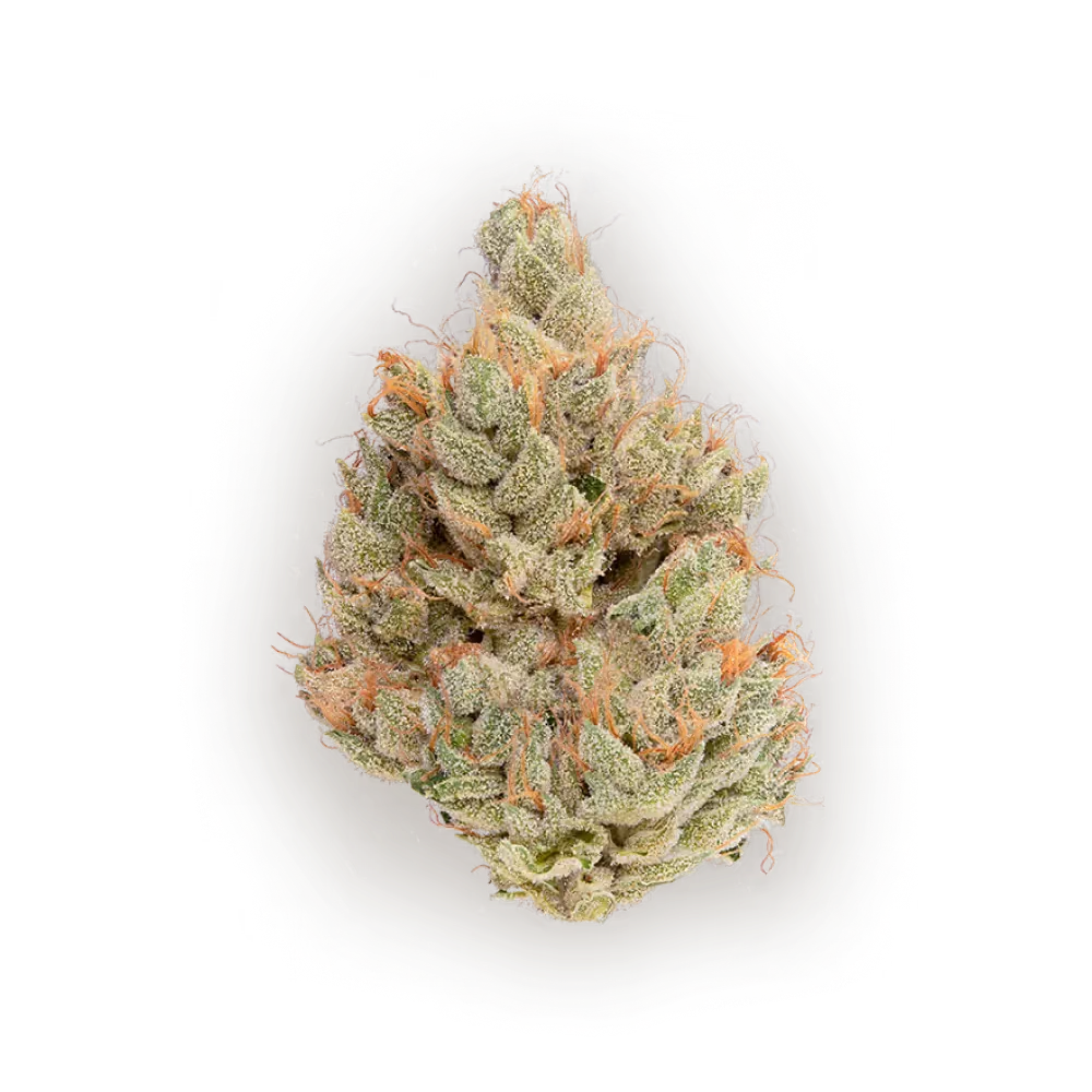 WHITE WALKER OG
