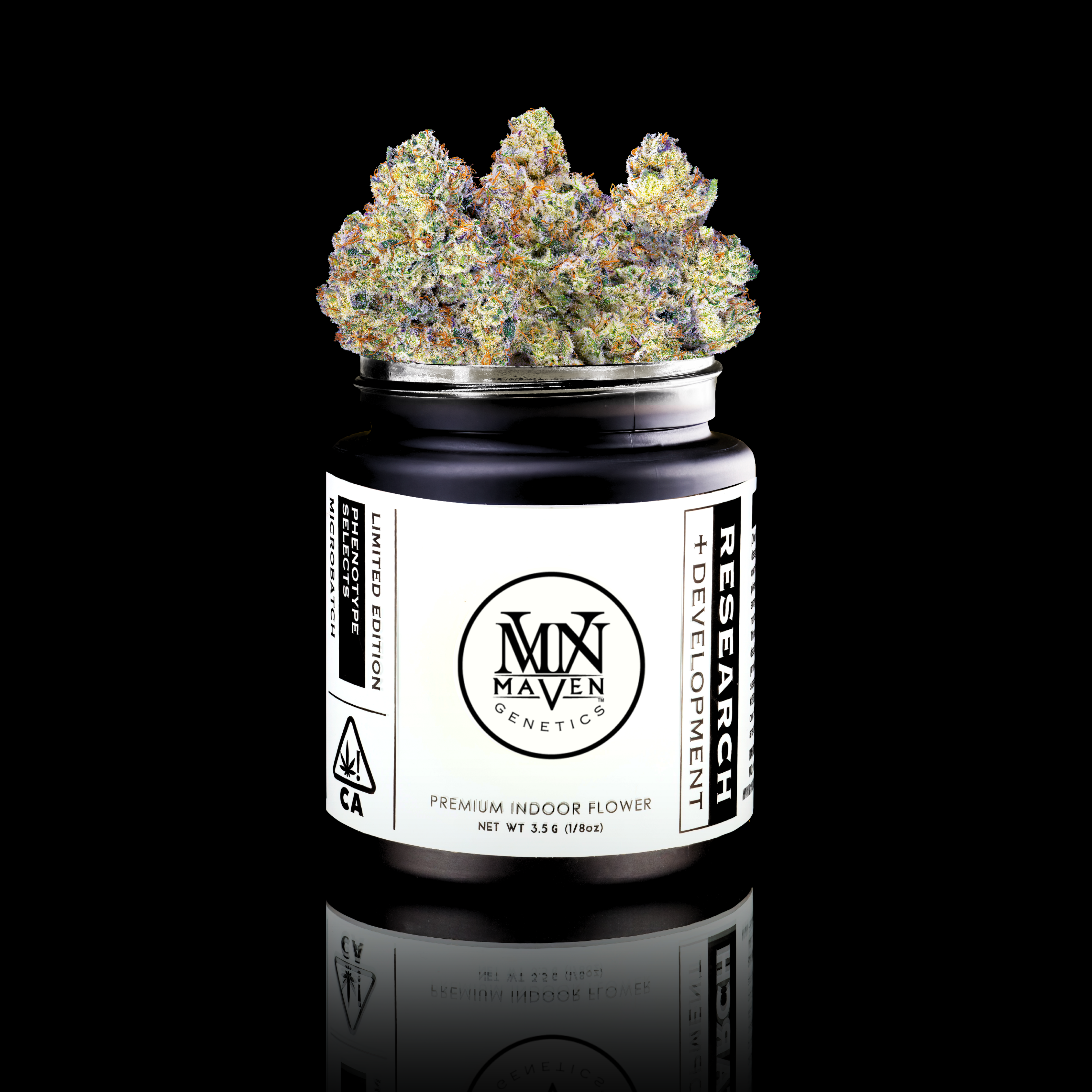 MAVEN GENETICS - Pineapple Hindu Z x Banana OG x Eye Candy #2