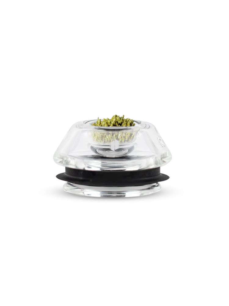 PROXY FLOWER BOWL