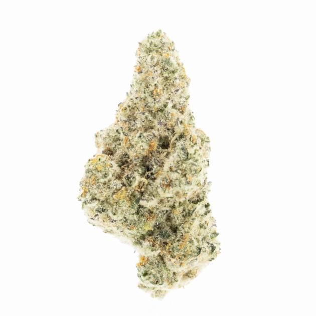 LAVENDER GOO