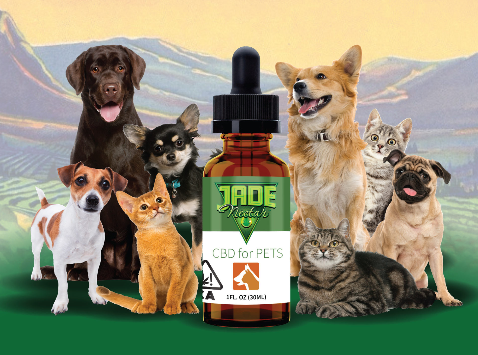 CBD FOR PETS