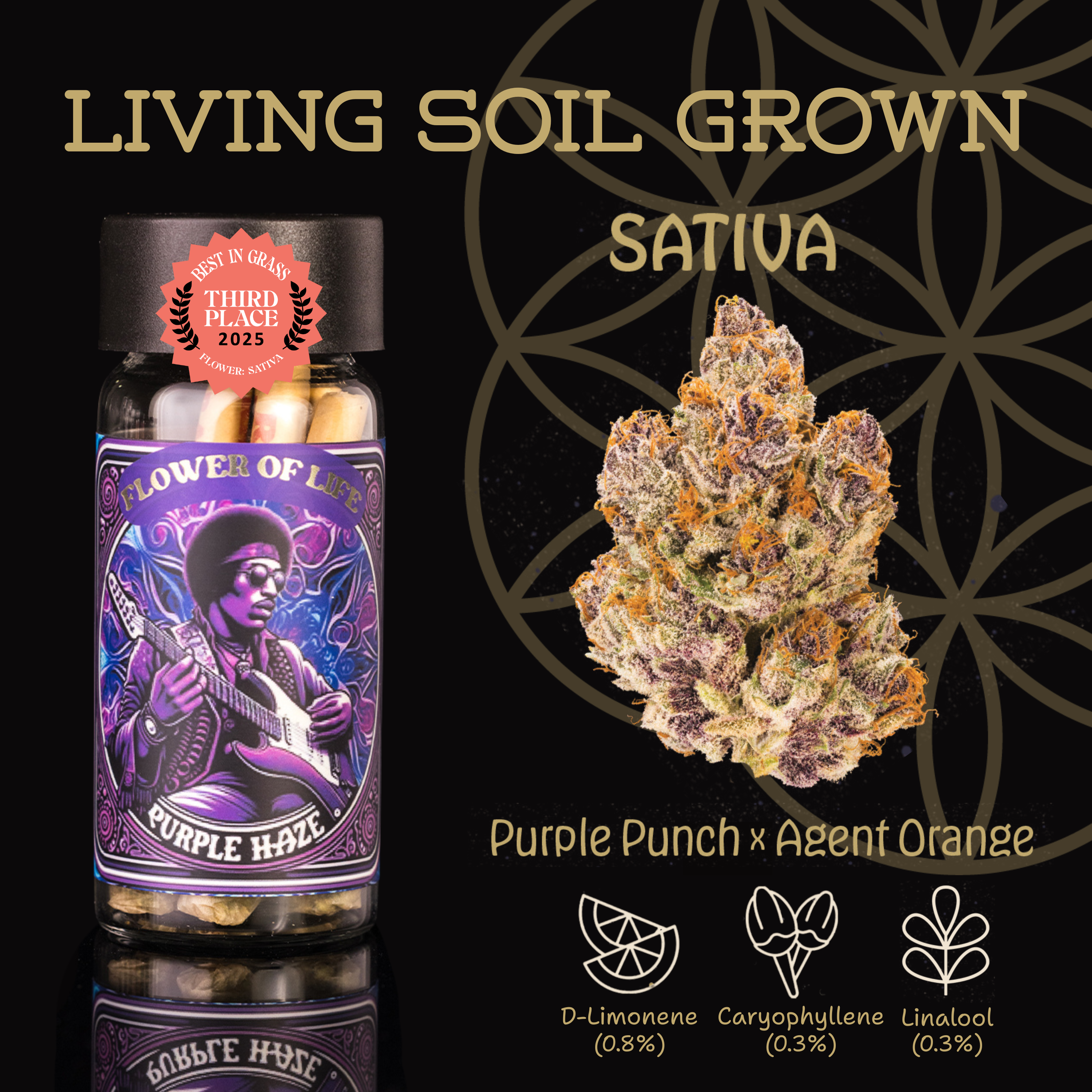 Purple Haze Pre Roll 5 Pack
