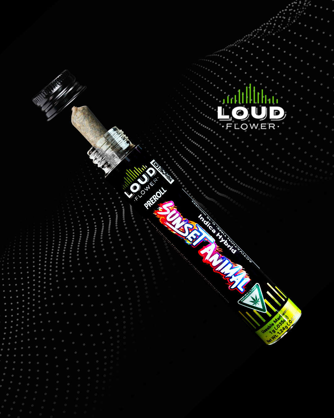 Mi loud - SUNSET ANIMAL 1G. PRE ROLL