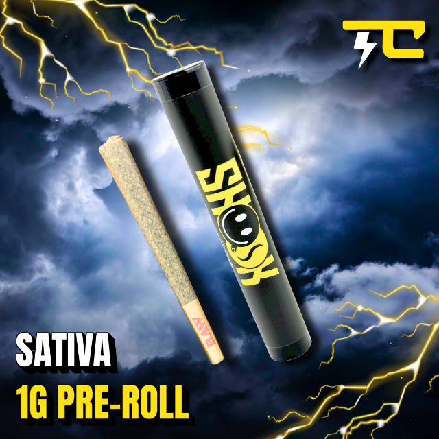 Thunder canna - JACK HERER - SHOOK 1G PRE-ROLL