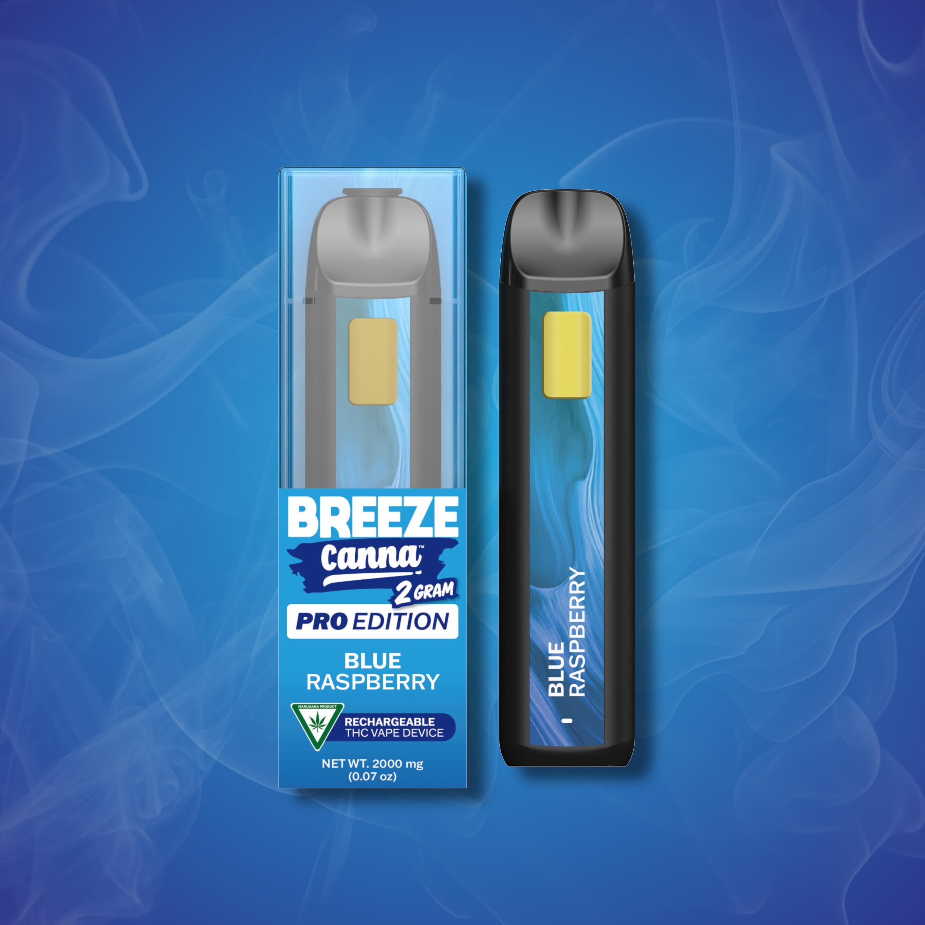 Blue Raspberry 2g Disposable - 2 g