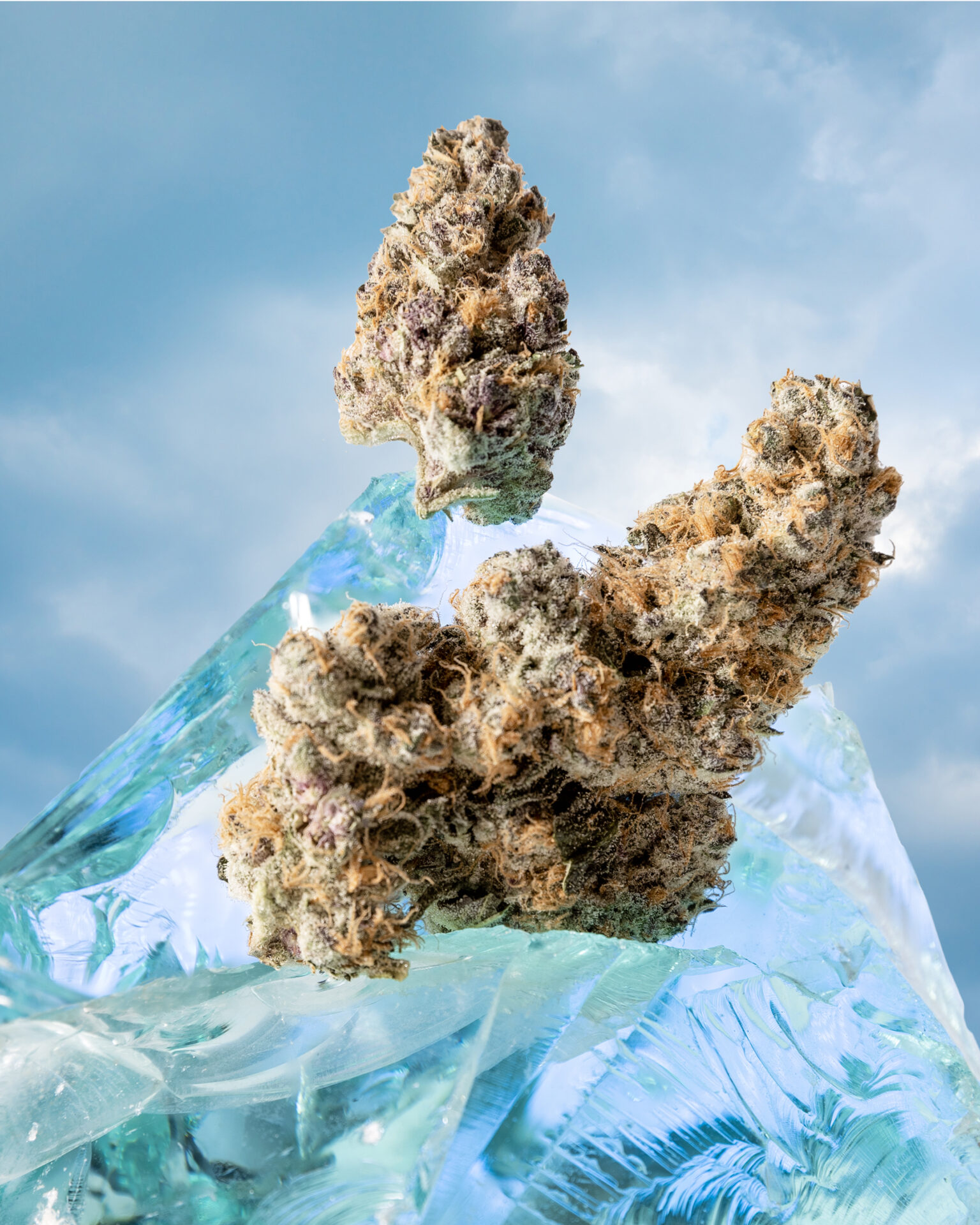 Goldkine - SUPER BOOF 3.5G PRE PACK Main Image