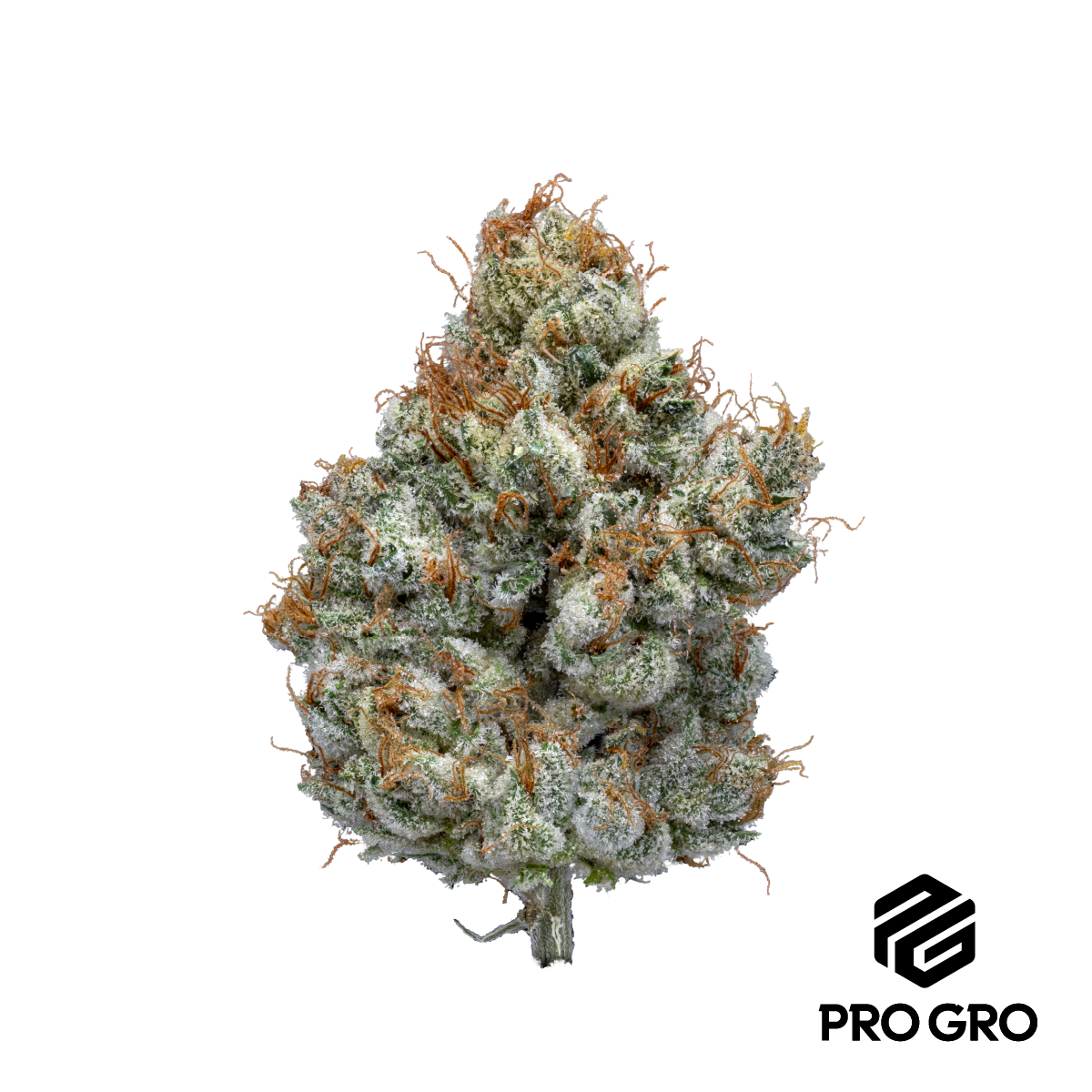 Pro gro - SOUR APPLE GELATO 14G