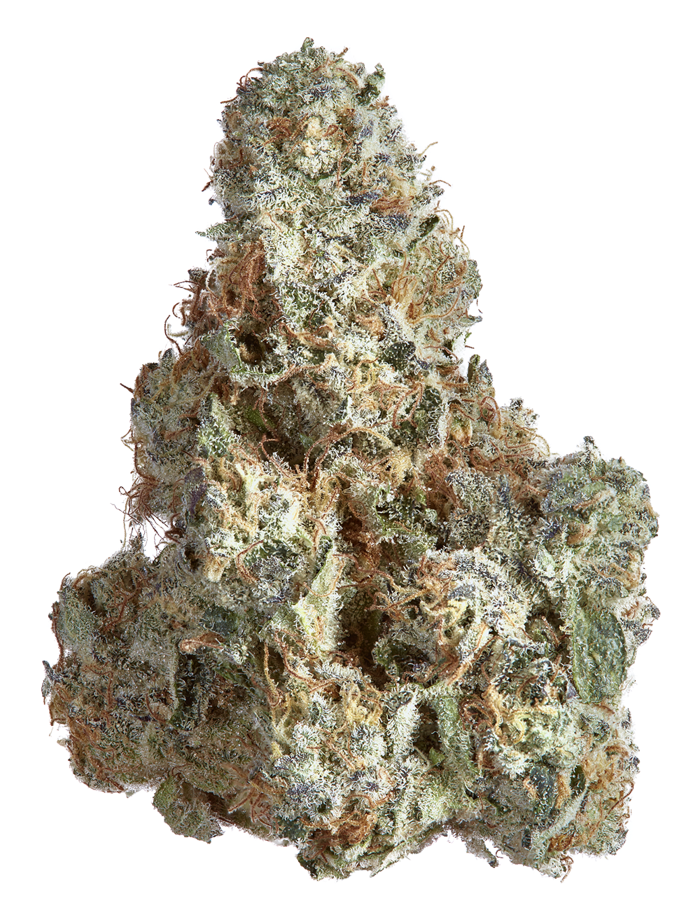 Goldkine - ANIMAL TREE 14G Main Image