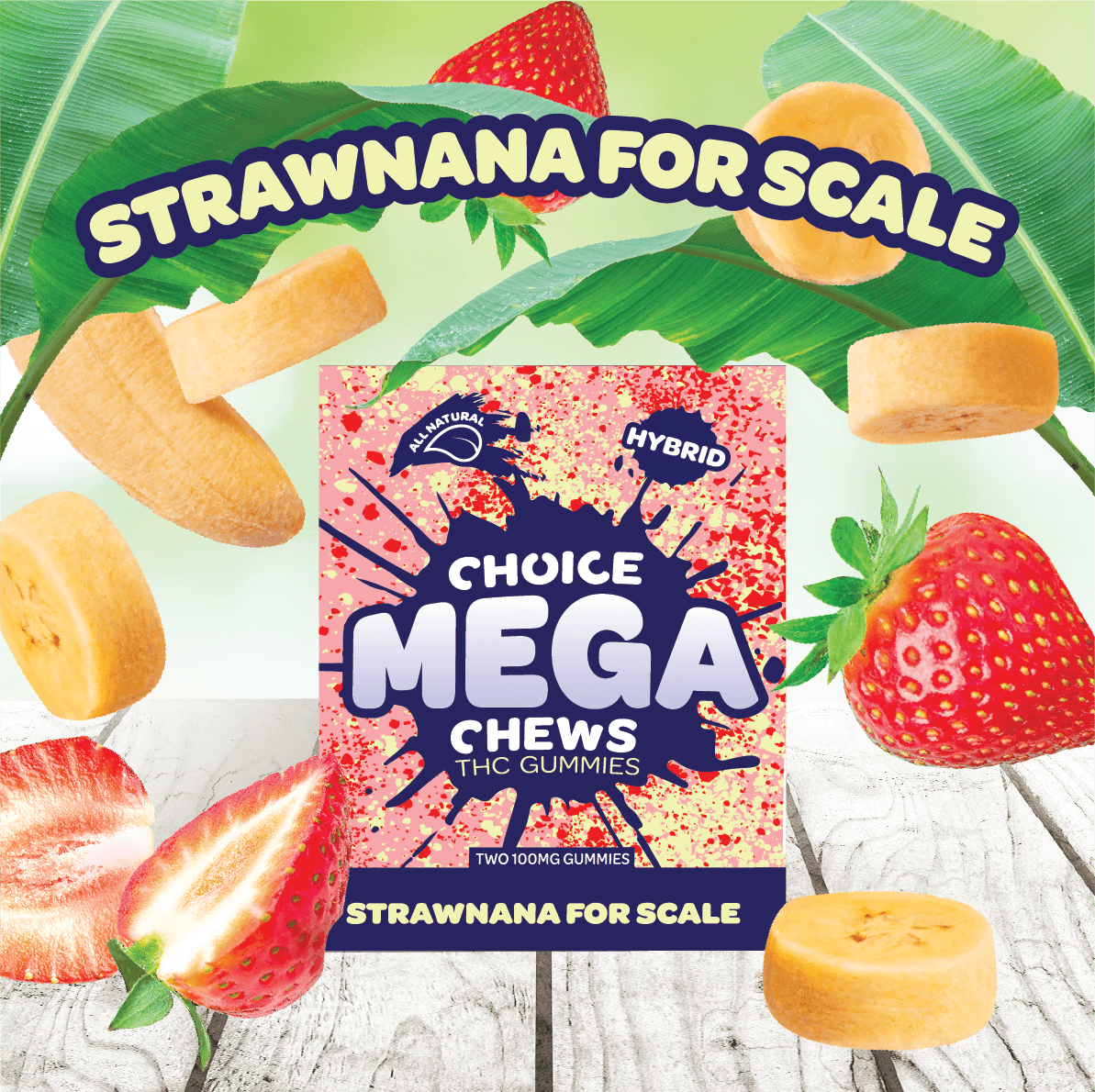 Choice - MEGA CHEW (2PK) STRAWNANA FOR SCALE (HYBRID) Main Image