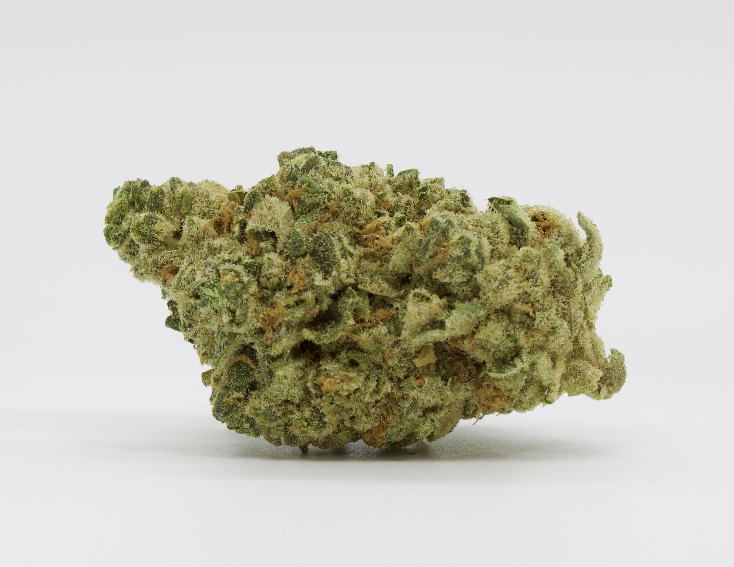 Goldkine - OREOZ BLIZZARD 14G