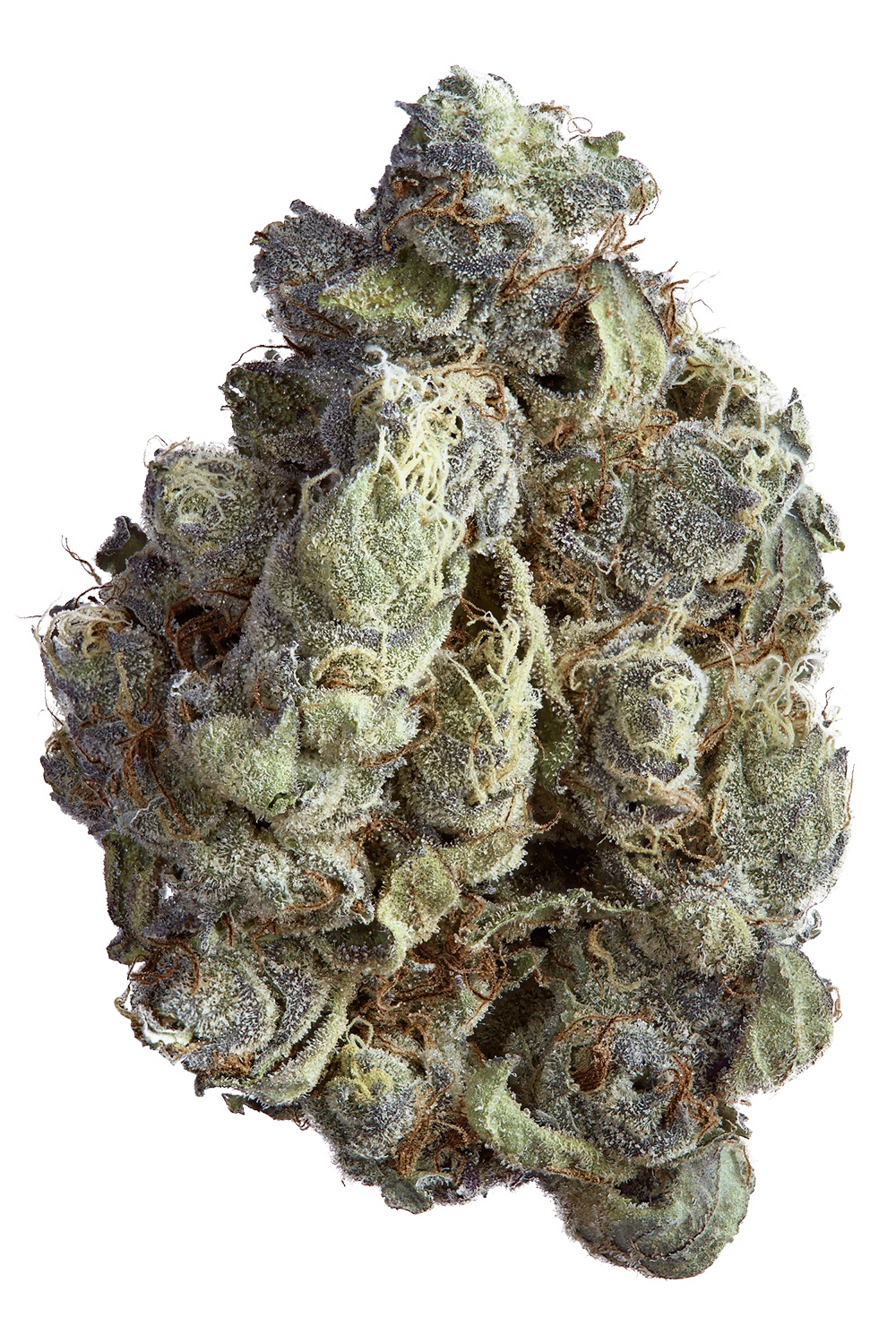 ROCK N RYE GELATO 3.5G PRE PACK