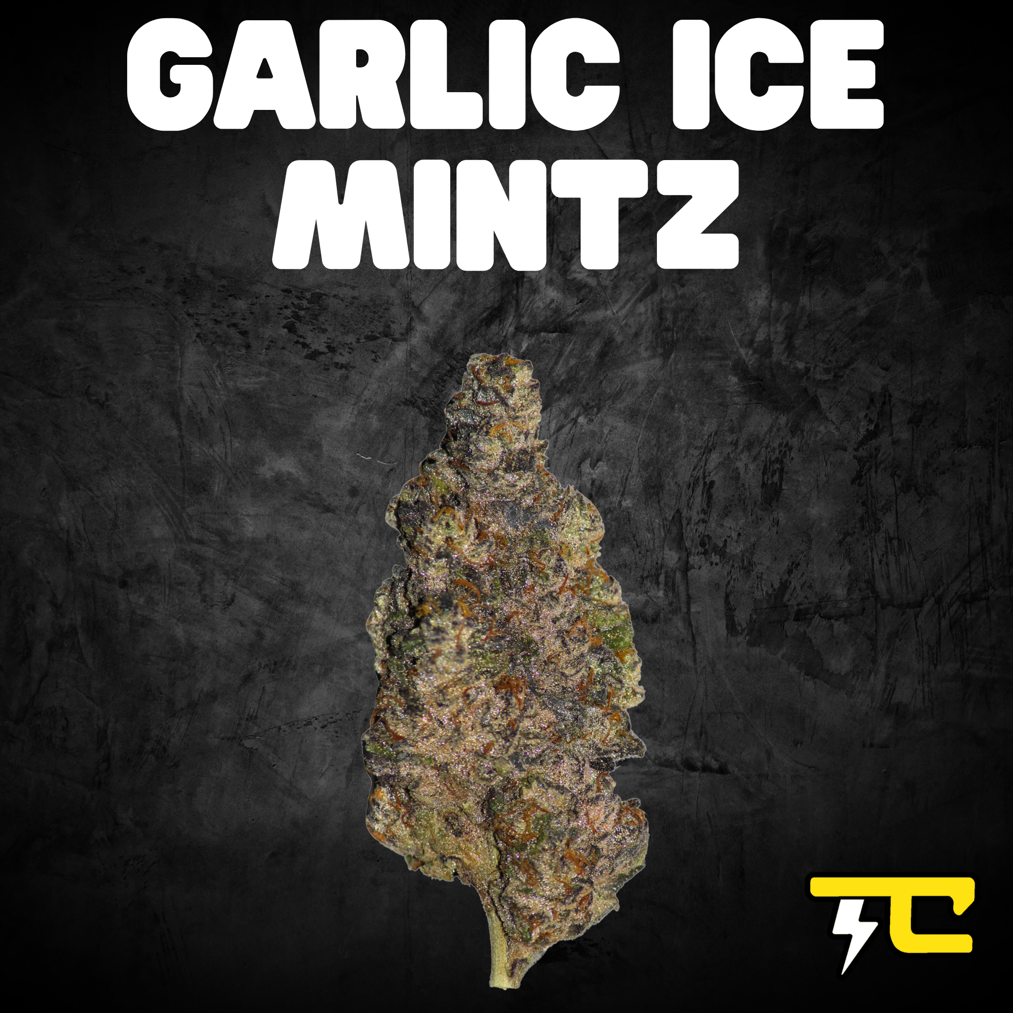 Thunder canna - GARLIC ICE MINTZ 14G Main Image