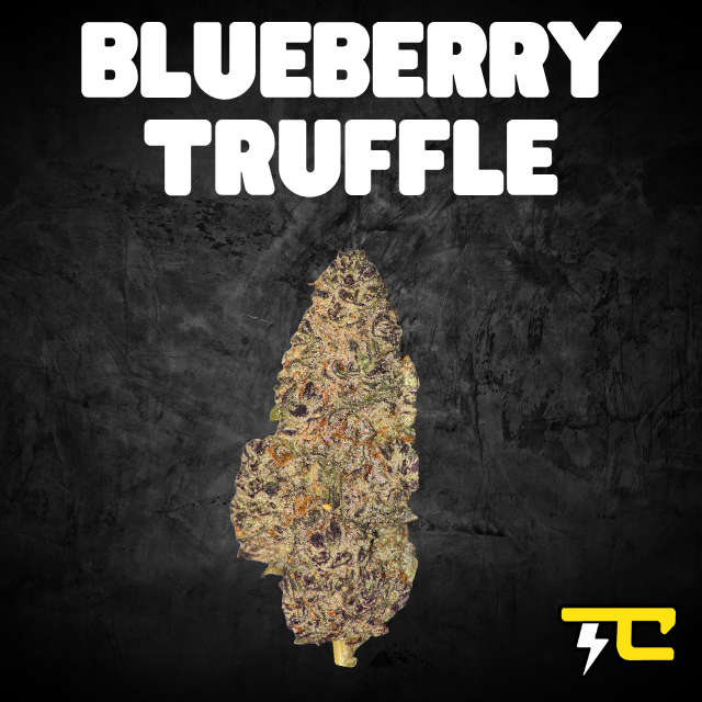 BLUEBERRY TRUFFLE 14G