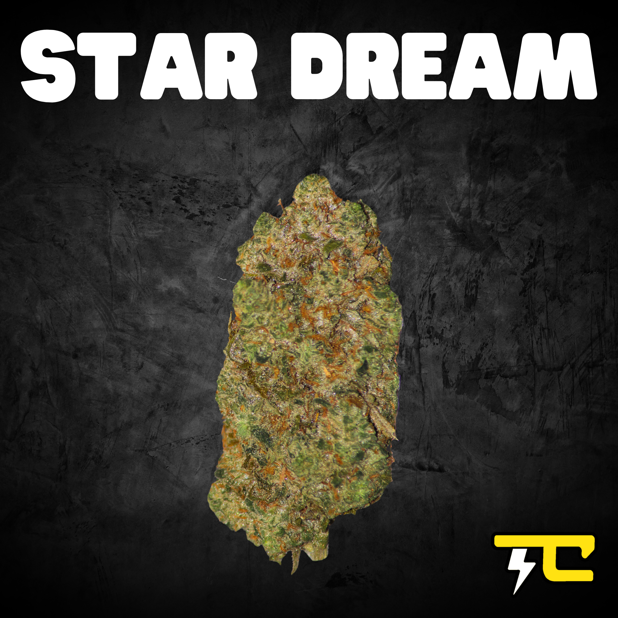 Thunder canna - STAR DREAM 14G