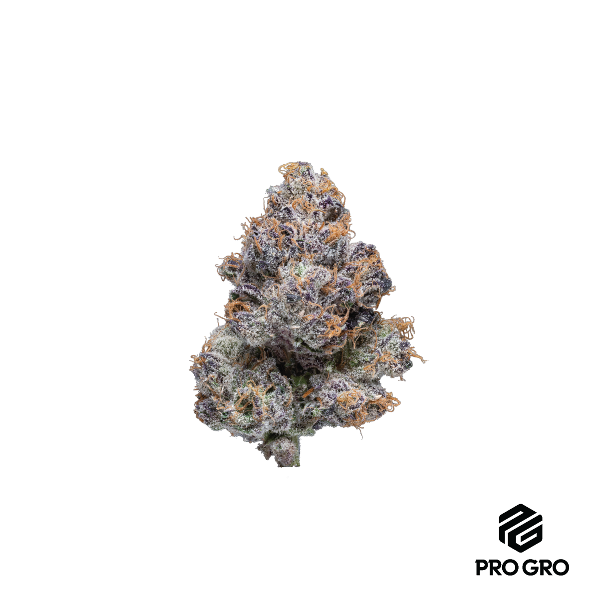 Pro gro - PURE RUNTZ 14G