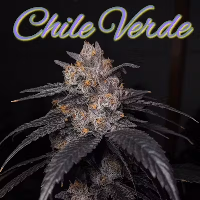 Potter's farm - CHILI VERDE 14G