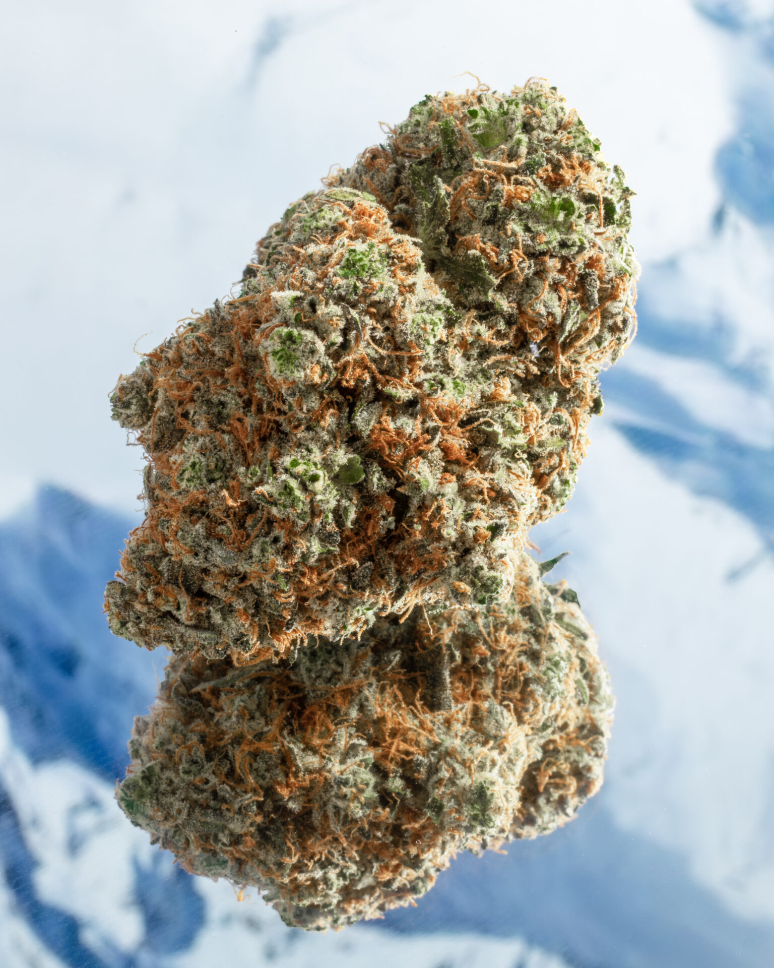 Glacier - BLAST CHILLER 7G