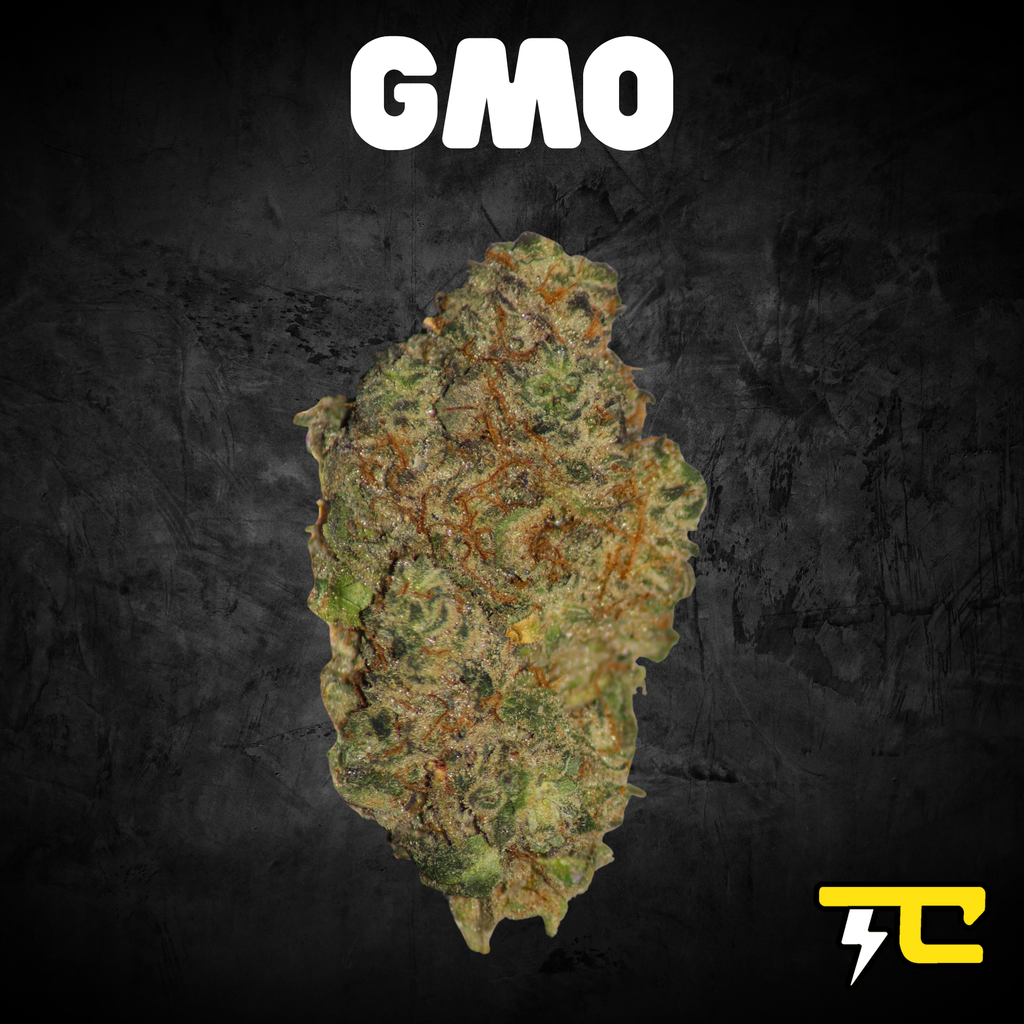 Thunder canna - GMO 14G