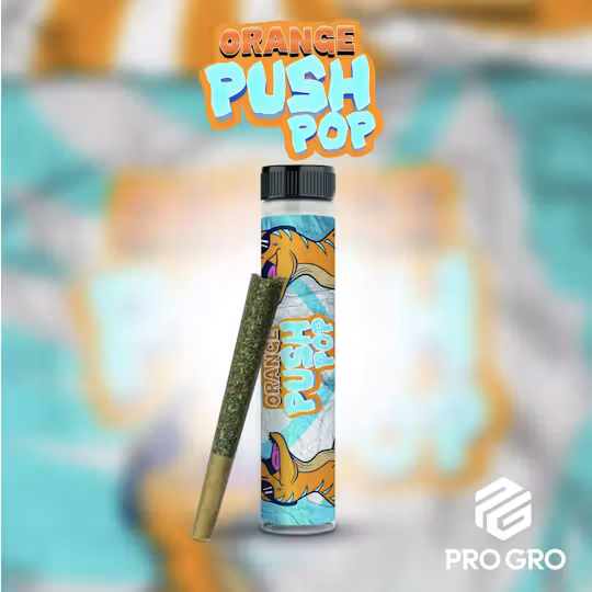 Pro gro - Orange Push Pop 1G PREROLL Main Image