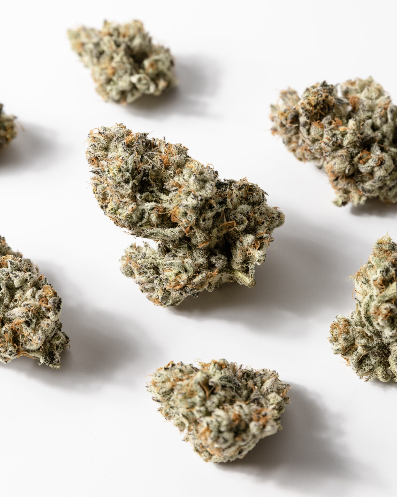 Glacier - ZEST MINTS 14G