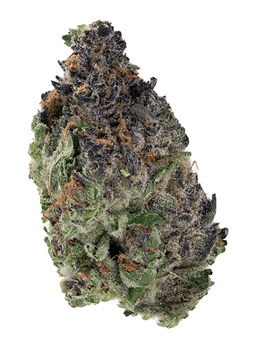 Goldkine - HASHBURGER 14G Main Image