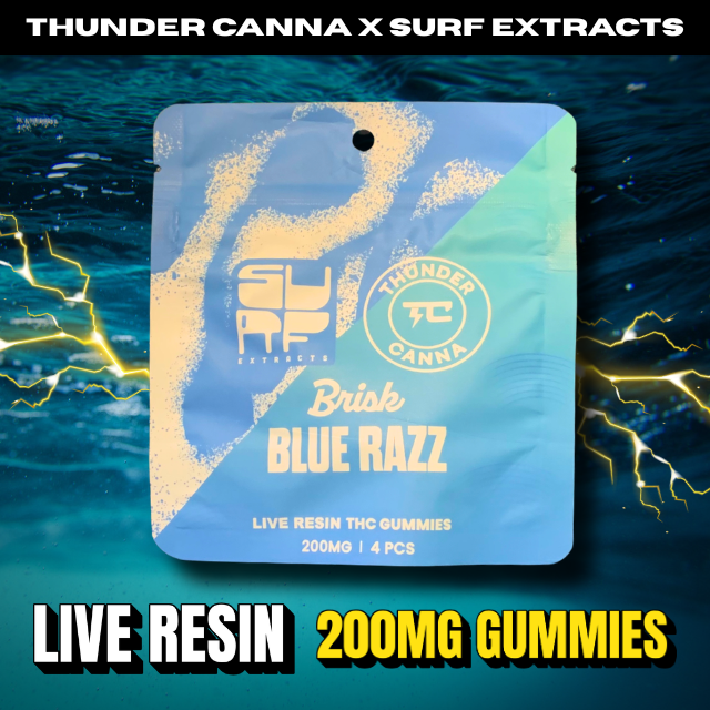 BLUE RAZZ GUMMIES LIVE RESIN 4X50MG-200MG SURFXTC